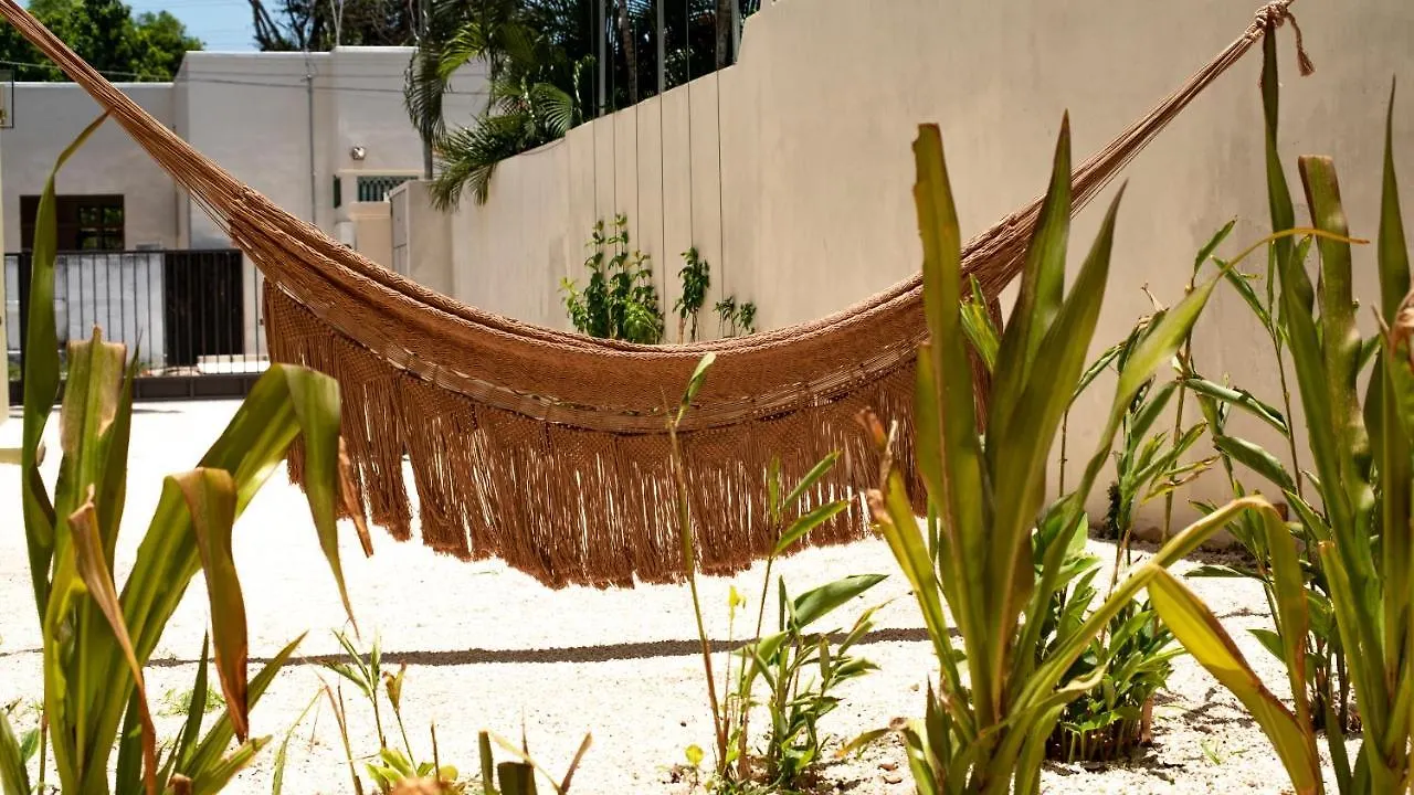 Pensión Hotel Consentido Tamarindo Mérida